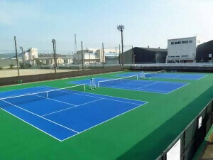 清水長崎新田スポーツ広場の写真3