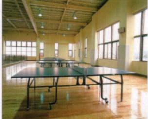 函南町体育館の写真3
