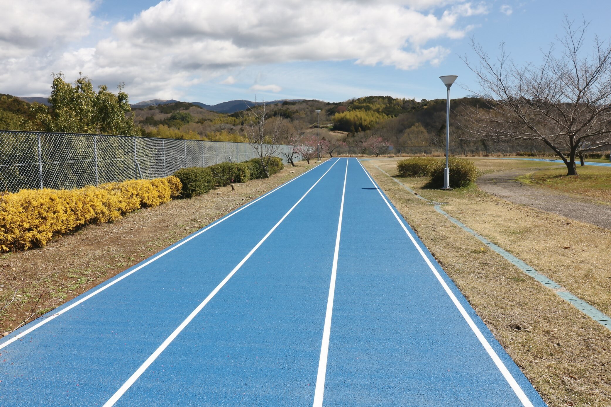 静岡県健康福祉交流プラザの写真4