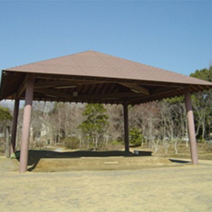 愛野公園内運動施設の写真4